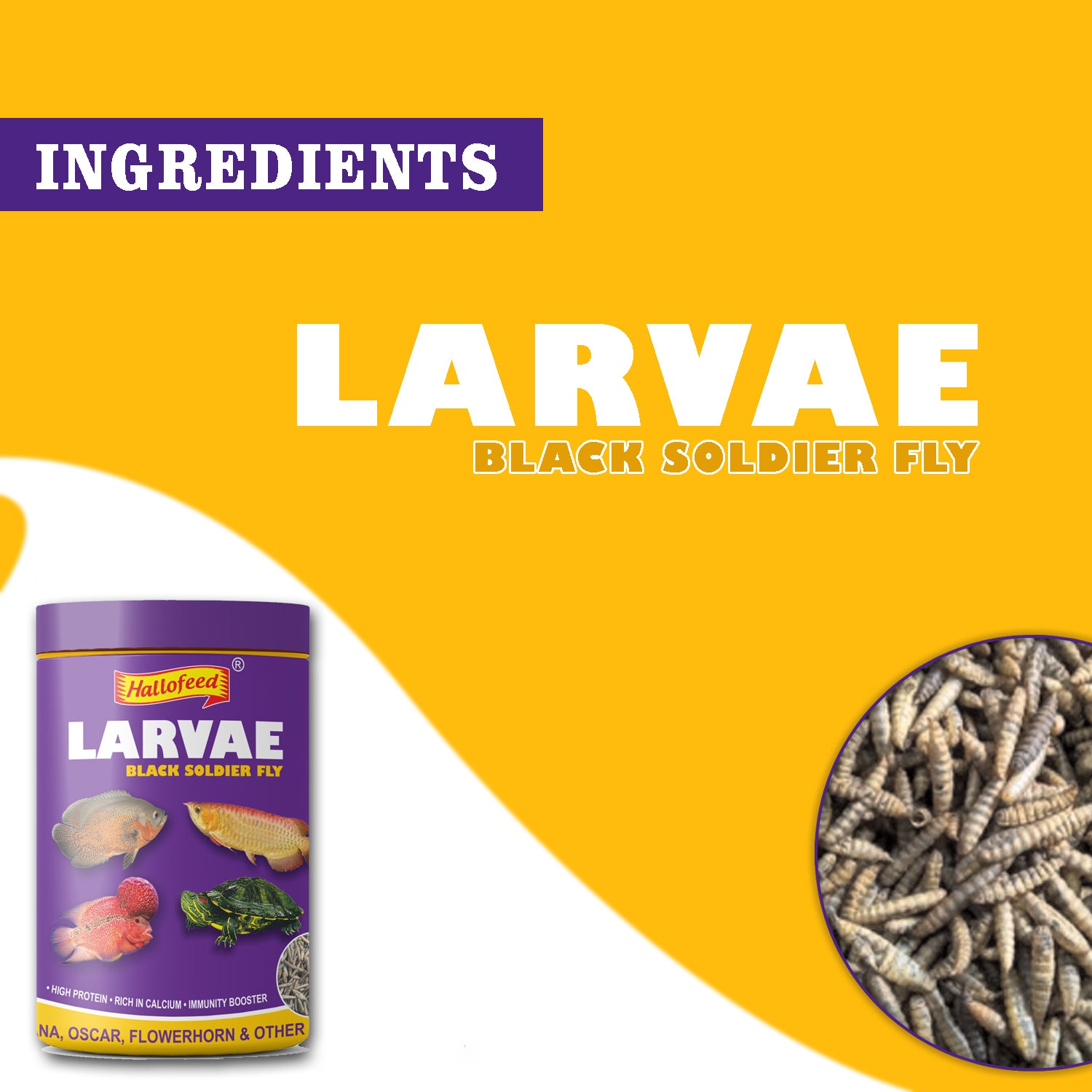 Hallofeed Black Soldier Fly Larvae Food- 150Gm for Arowana, Flower Horn,Oscar & Other Carnivorous Fish
