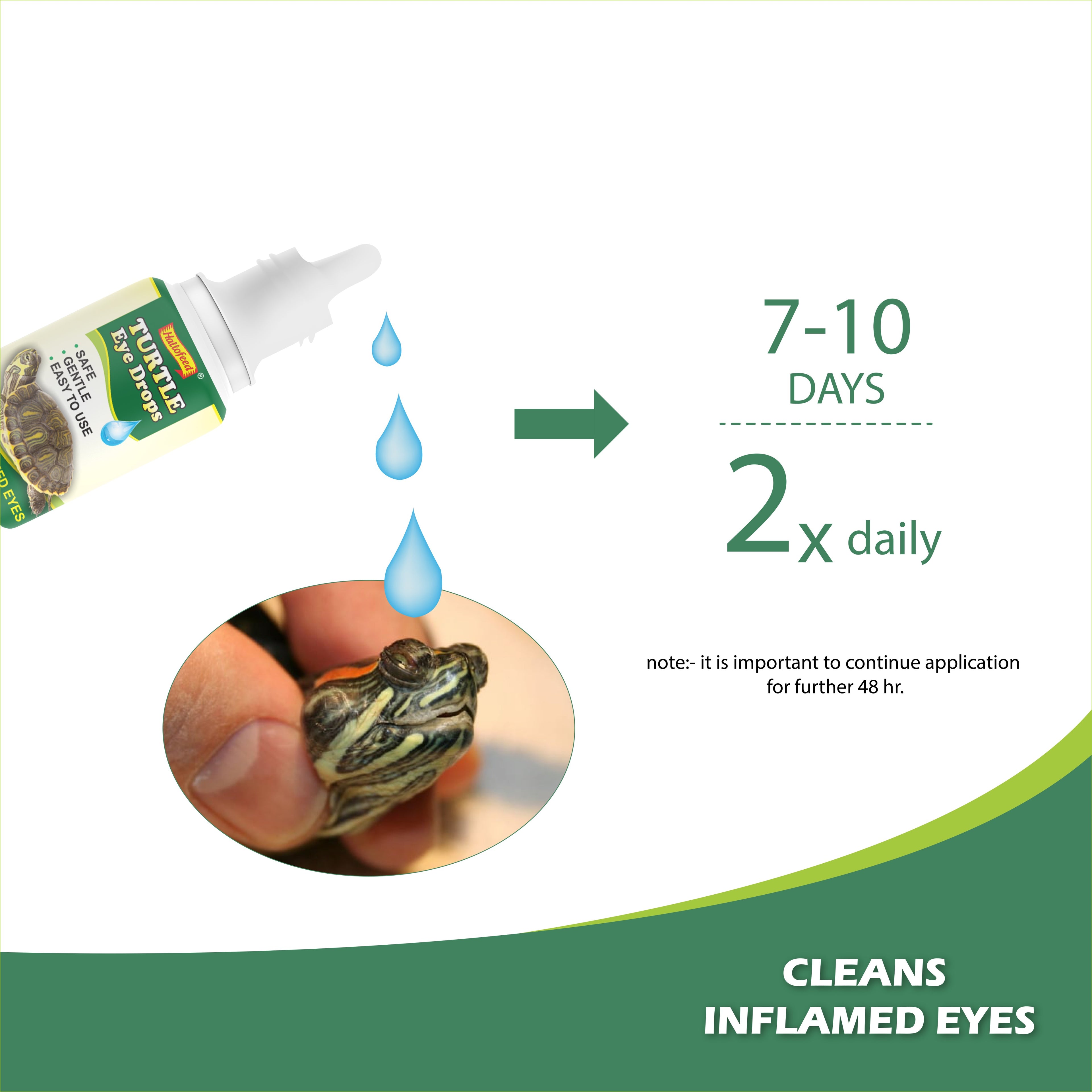 Hallofeed Turtle Eye Drops