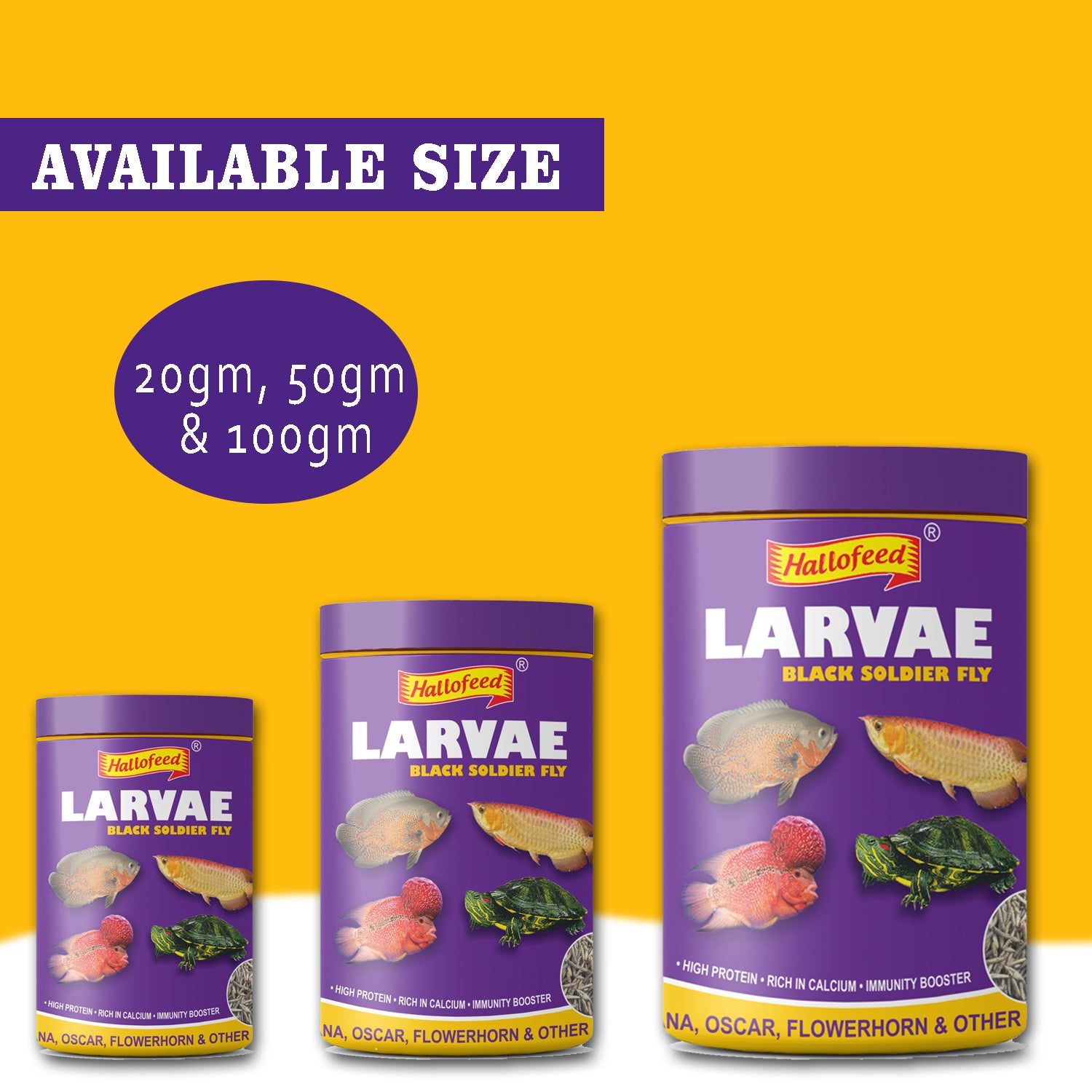 Hallofeed Black Soldier Fly Larvae Food- 150Gm for Arowana, Flower Horn,Oscar & Other Carnivorous Fish