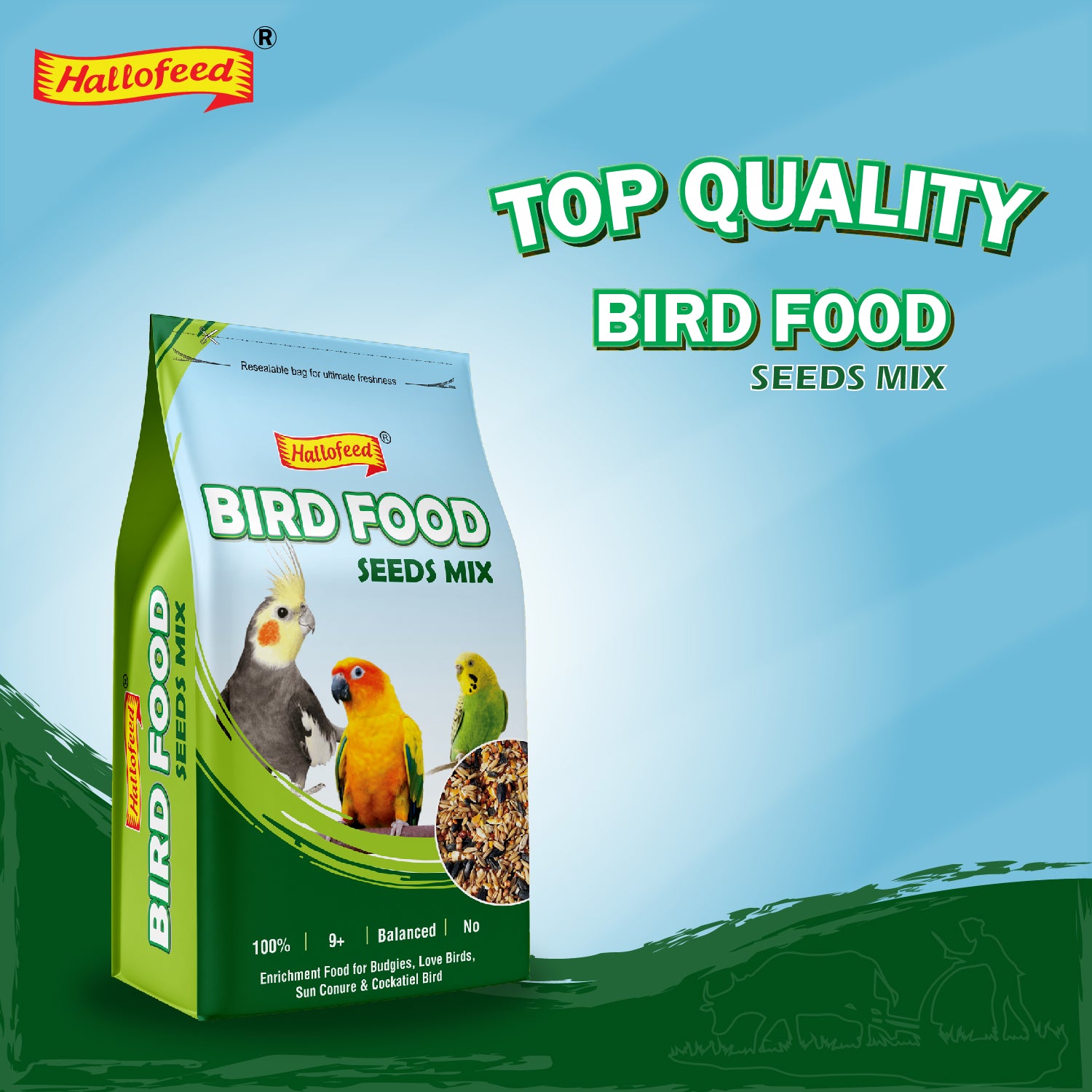 Hallofeed Bird Food (Mix Seeds) | for Budgies, Love Birds, Cockatiel etc. |Seed Blend of 9+ Grains | Net Weight 0.5 Kg