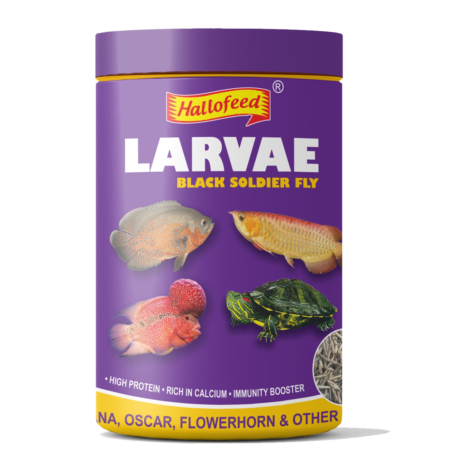 Hallofeed Black Soldier Fly Larvae Food- 150Gm for Arowana, Flower Horn,Oscar & Other Carnivorous Fish