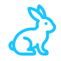 RABBIT