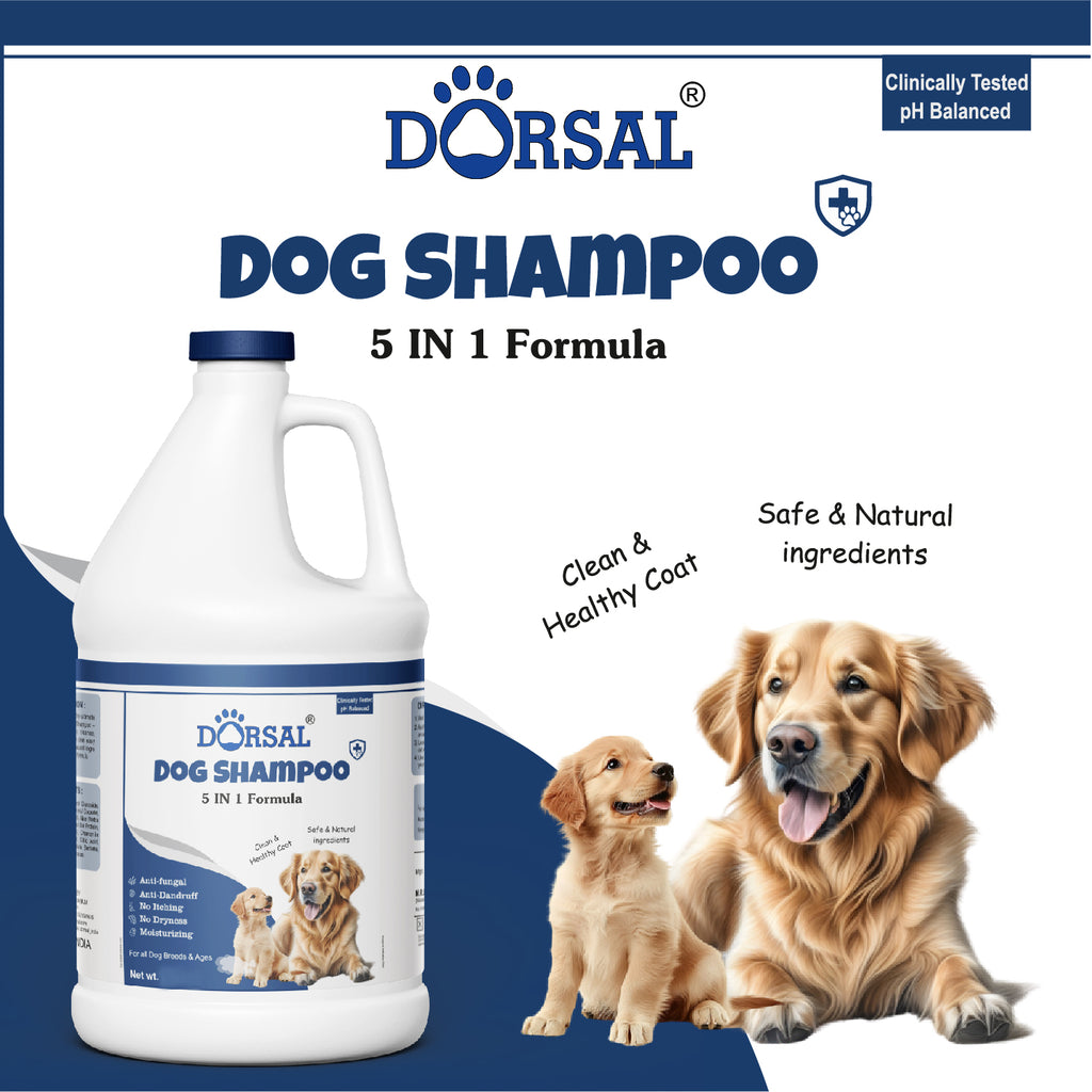 Dorsal Dog Shampoo 1 ltr 5 in 1 formula Anti-itching, Anti-dandruff, Anti-fungal, Allergy Relief LIME Dog Shampoo