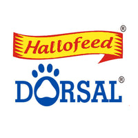 Footer Logo