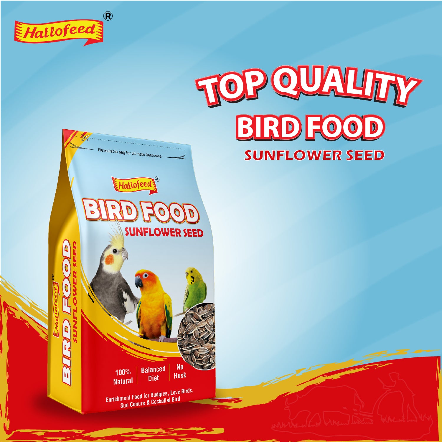 Hallofeed Bird Food for Parrots, 500 Grams, Sunflower Seeds, Samll Parrots, Conures, Lovebirds, Cockatiels, African Grey, Macaws, Cockatoo