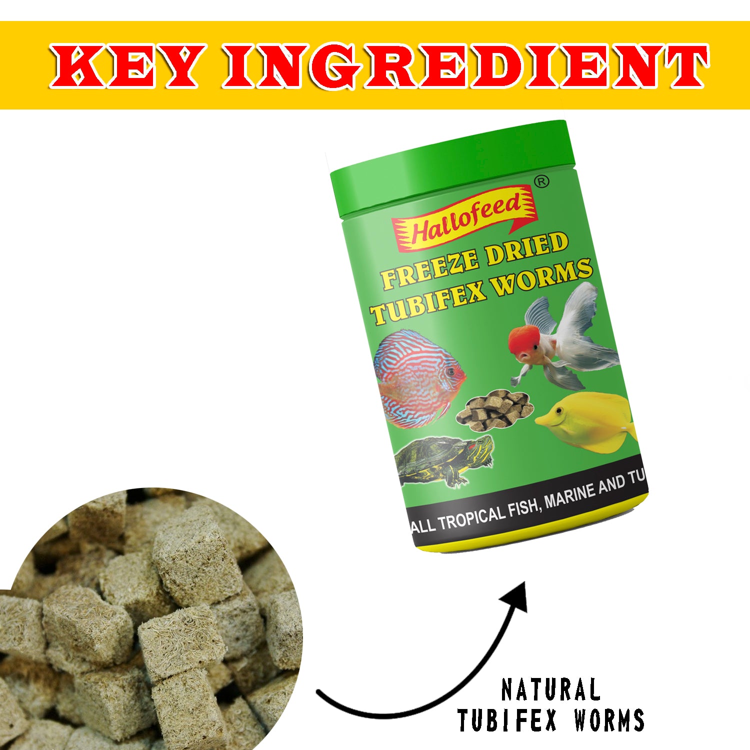Hallofeed Freeze Dried Tubifex Worms Fish Food, 100g for All Types of Tropical & Marine Fish & Turtle Diet