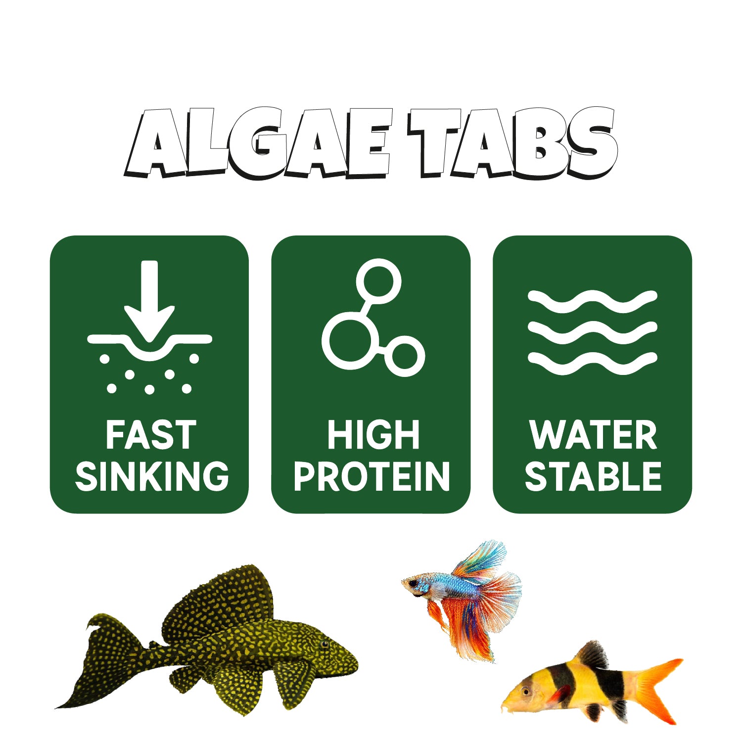 Hallofeed Algae Tablets for Bottom Feeders, 80g, Fish Food for Plecostomus, Cory Catfish, Loaches, Crayfish, Shrimps