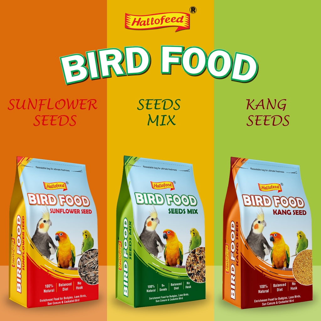 Hallofeed Bird Food (Mix Seeds) | for Budgies, Love Birds, Cockatiel etc. |Seed Blend of 9+ Grains | Net Weight 0.5 Kg