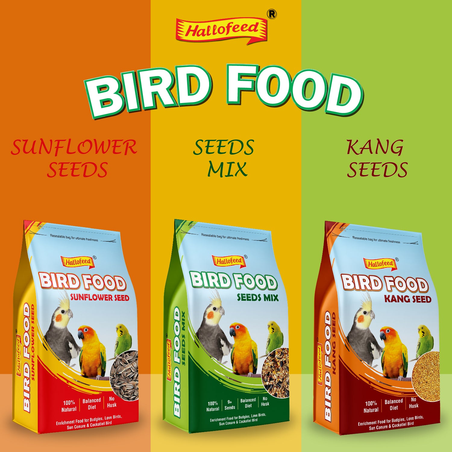 Hallofeed Bird Food (Mix Seeds) | for Budgies, Love Birds, Cockatiel etc. |Seed Blend of 9+ Grains | Net Weight 0.5 Kg